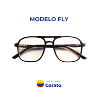 Fly